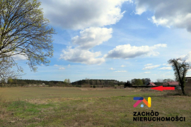 Działki budowlane 10 km od Torzymia